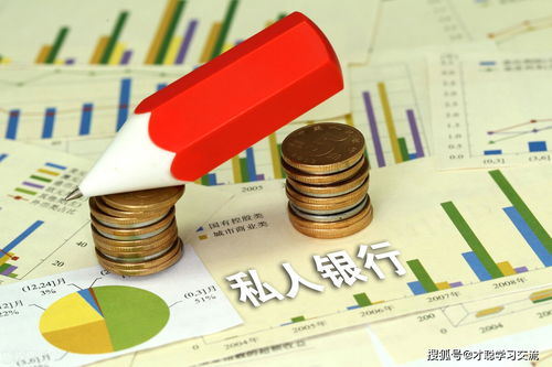 2021年浙江财经大学431金融学综合考研真题解析 利用自有资金创业投资的财务决策分析
