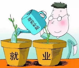 龙岩市就业补助资金政策解读 六 创业带动就业补贴——利用自有资金创业投资